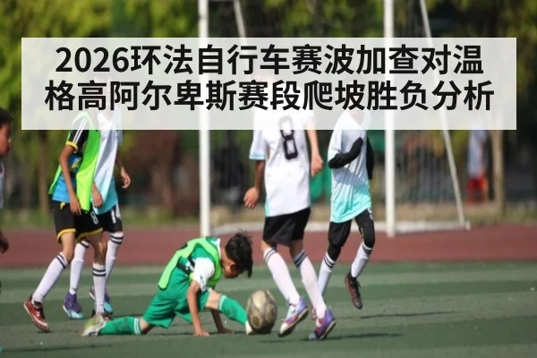 2026环法自行车赛波加查对温格高阿尔卑斯赛段爬坡胜负分析
